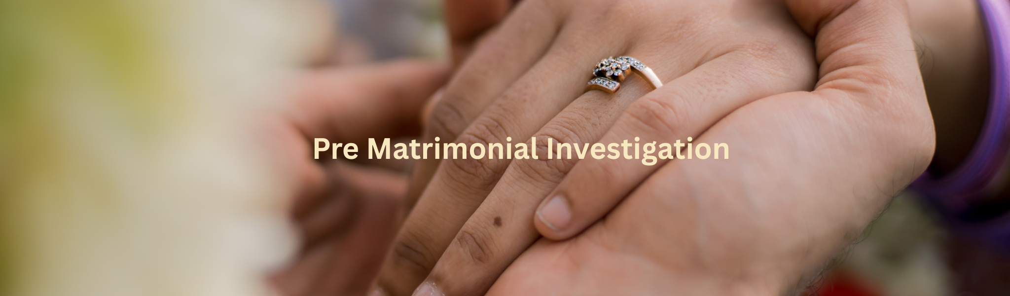 Pre Matrimonial Investigation egmore